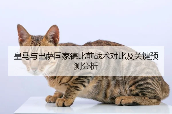 皇马与巴萨国家德比前战术对比及关键预测分析