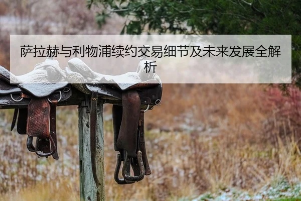 萨拉赫与利物浦续约交易细节及未来发展全解析