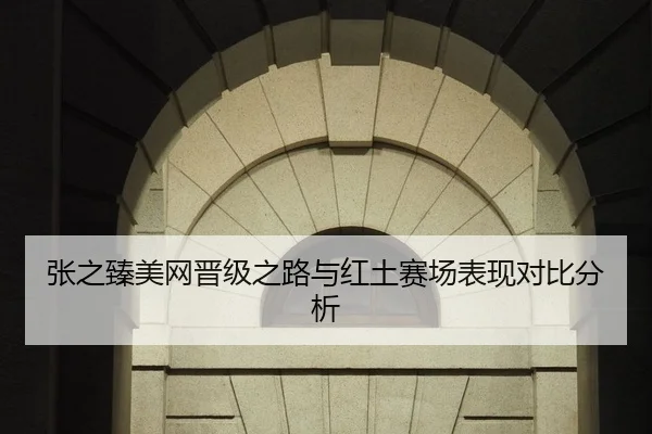 张之臻美网晋级之路与红土赛场表现对比分析